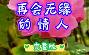 下载视频: 歌曲《再会无缘的情人》