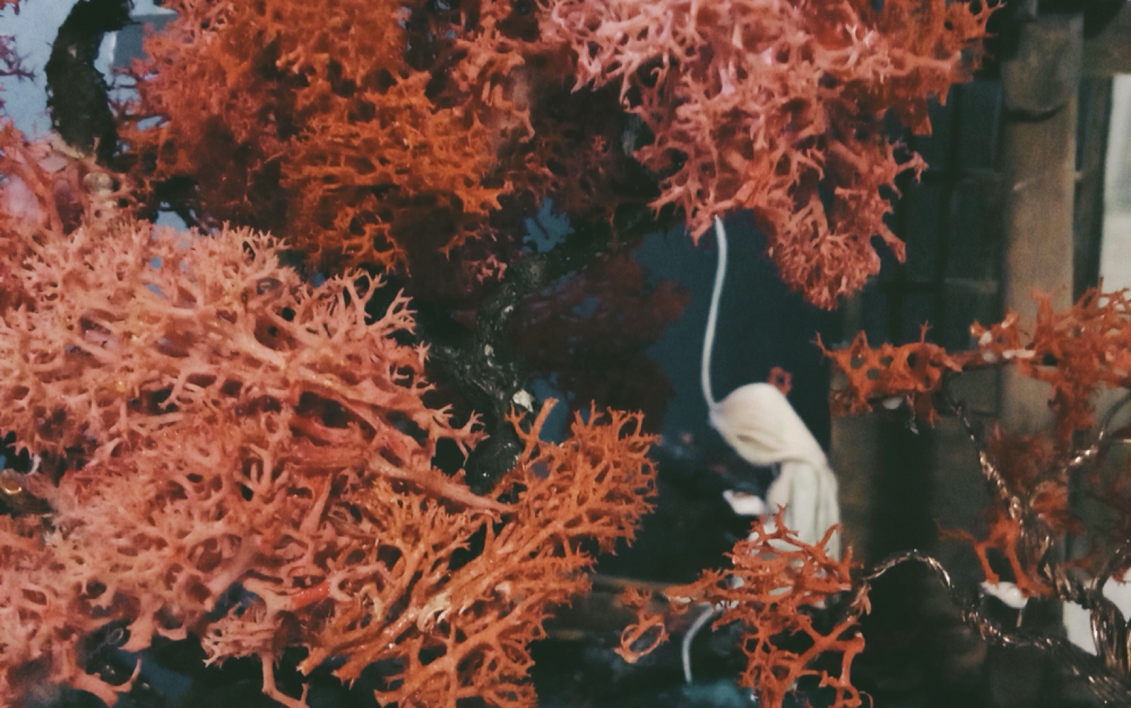 【苝灵】百鬼·灵枫——我把一哥的画立体化惹