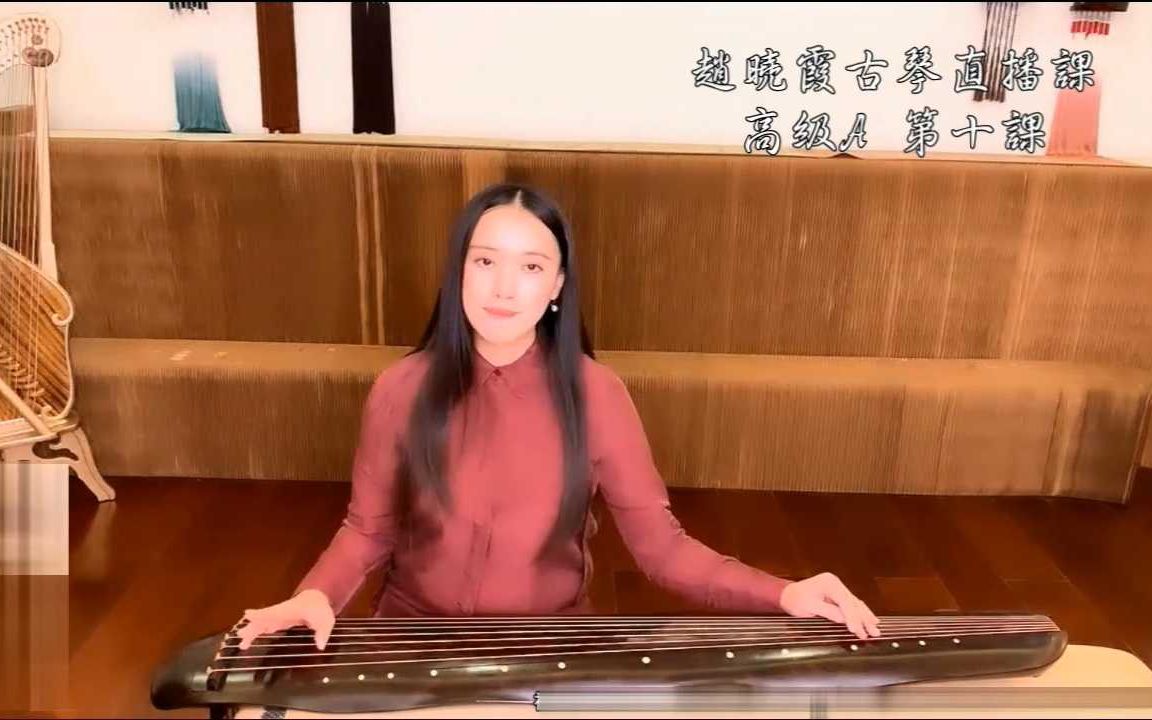 赵晓霞梅花三弄第二季 高级a 第十课