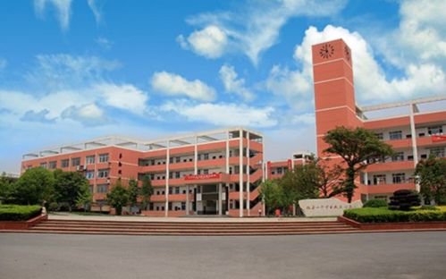 青竹湖湘一外国语学校冒着雨的运动会