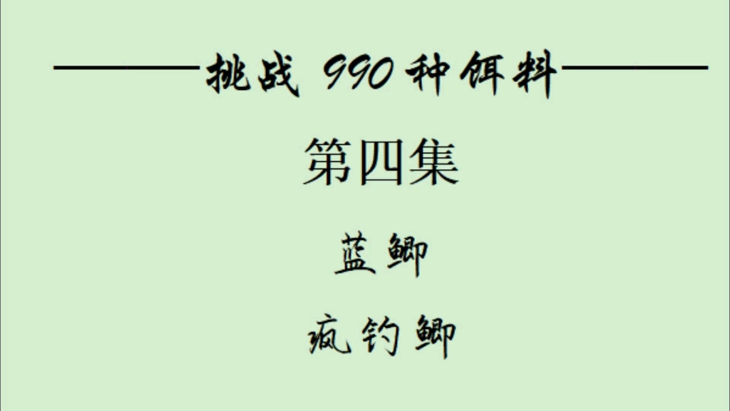 第四集蓝鲫疯钓鲫实战钓鱼,挑战990种饵料钓鱼,户外,钓鱼,饵料哔哩哔哩bilibili