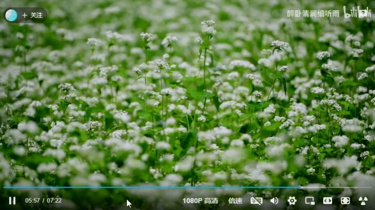 [图]山野幽居（专集）