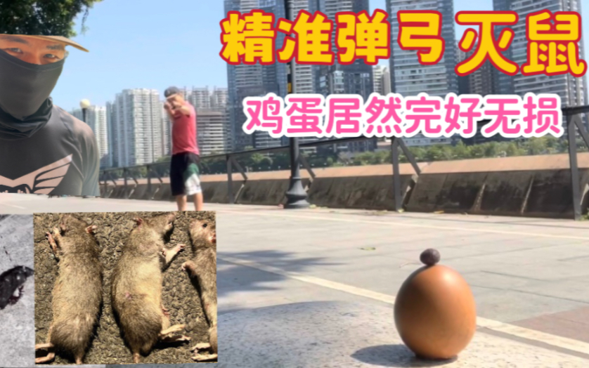 [图]灭鼠排行榜：弹弓从鼠贴，鼠笼 ，鼠药中脱颖而出排行稳居第一位