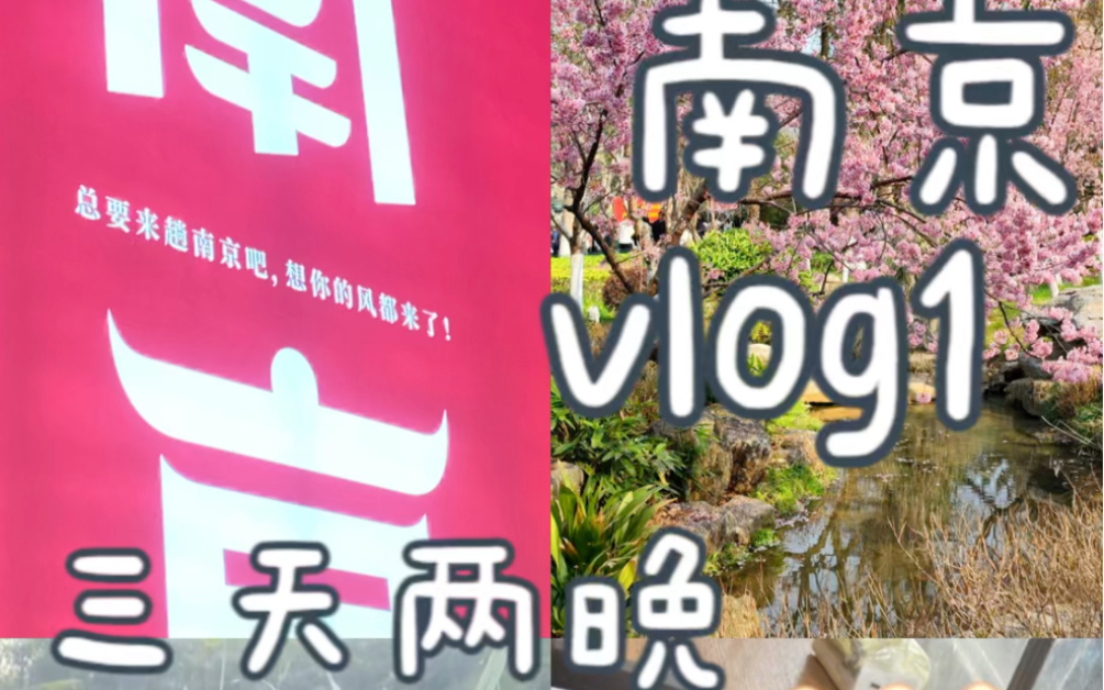 三天两晚人均500无踩雷的南京旅行vlog|吃好玩好休息好的反向旅游|红山动物园夫子庙鸡鸣寺玄武湖 完美避开超大人流哔哩哔哩bilibili