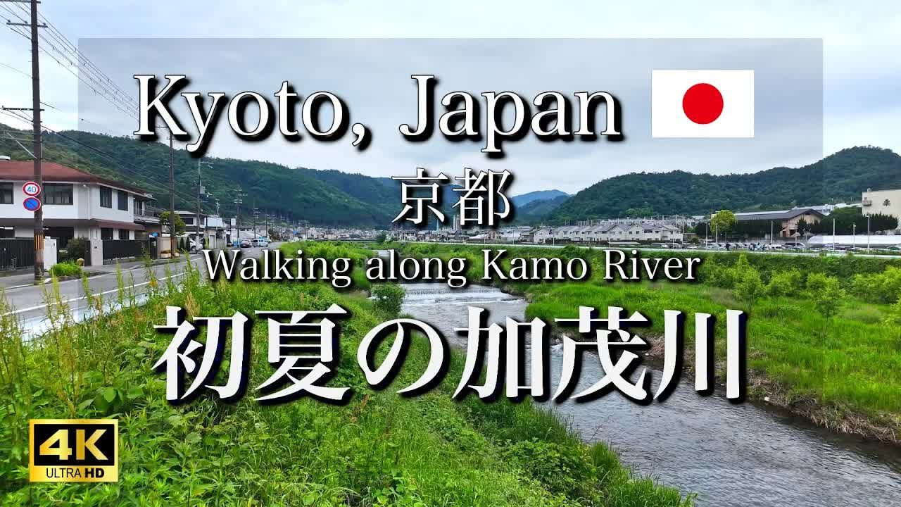 【4K超清】漫步日本京都鸭川两岸,带你看最真实的京都景色哔哩哔哩bilibili