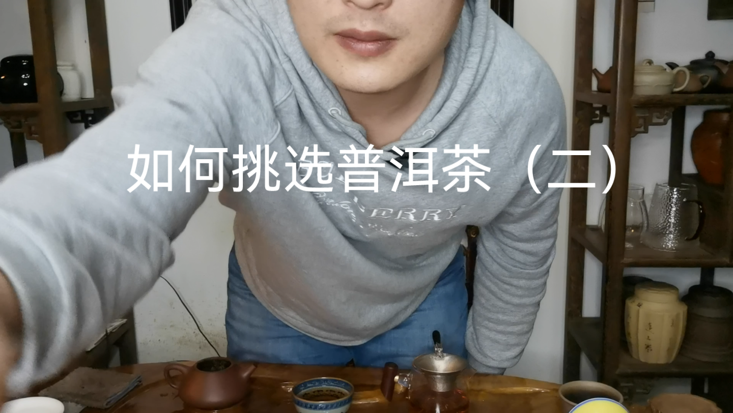 普洱茶知识哔哩哔哩bilibili