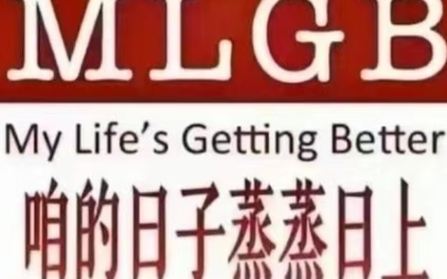 mlgblogo图片