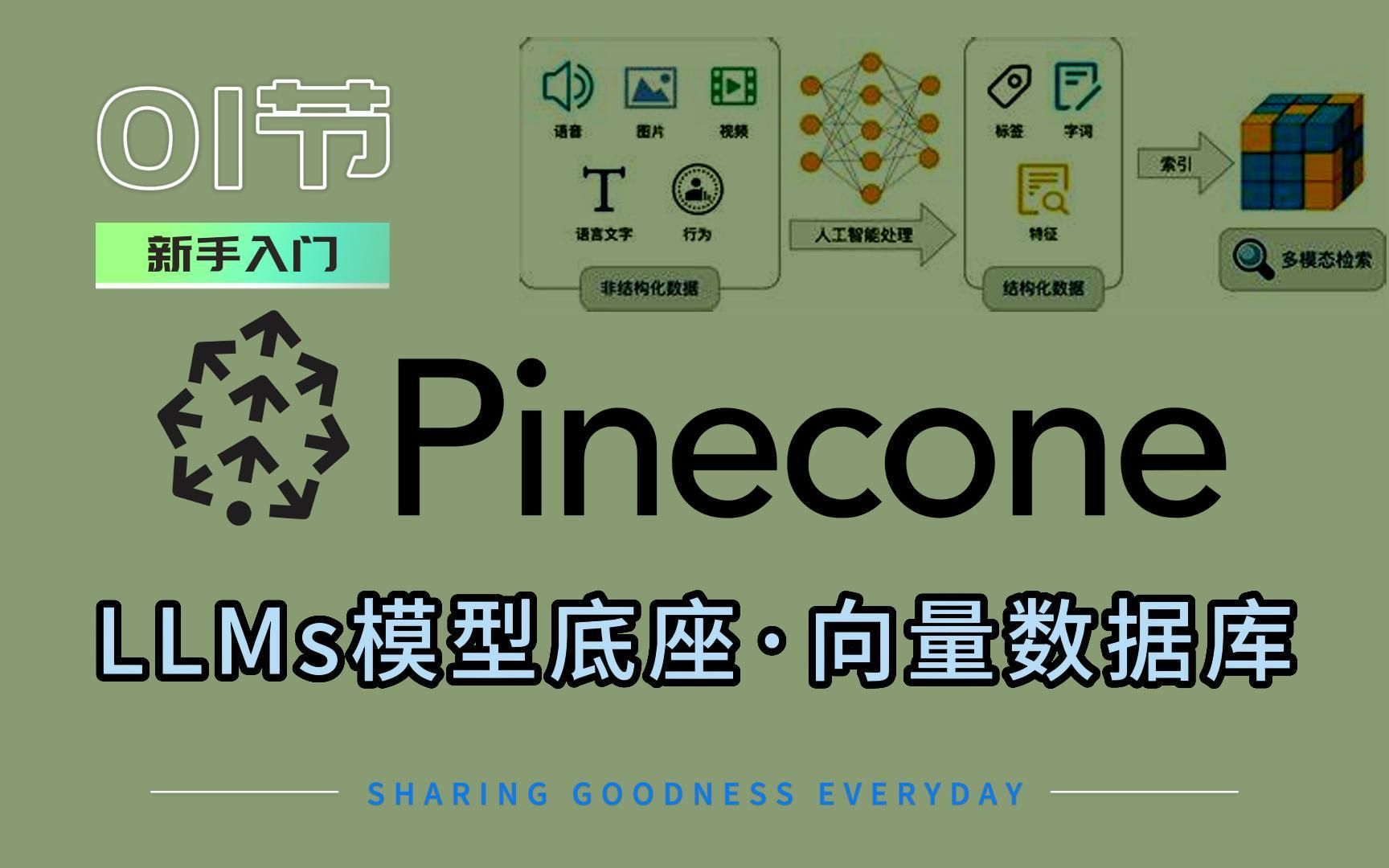 Pinecone01新手入门:AI工具链ⷥ𚕥𚧥“”哩哔哩bilibili