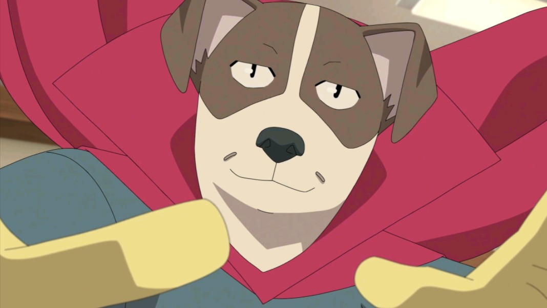 还以为真有魔法狗【无敌小子第二季第三集】