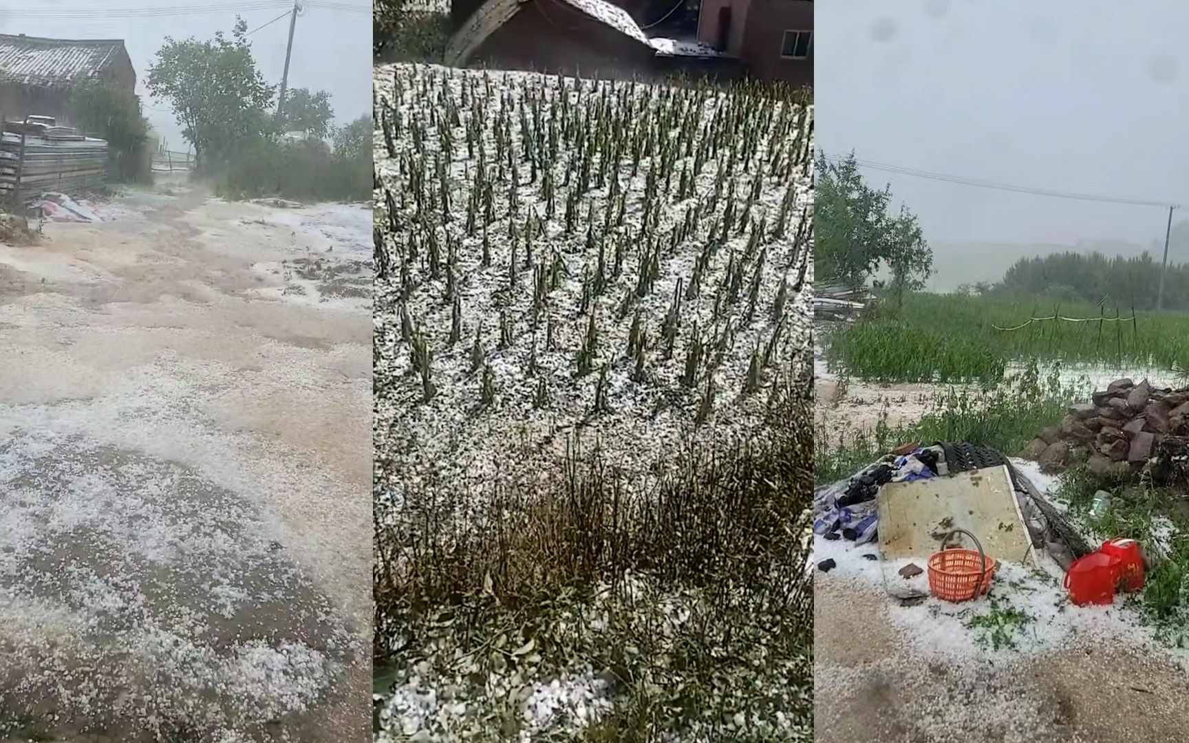 甘肃平凉现风雹灾害:雹体堆积如雪 庄稼被打成杆哔哩哔哩bilibili