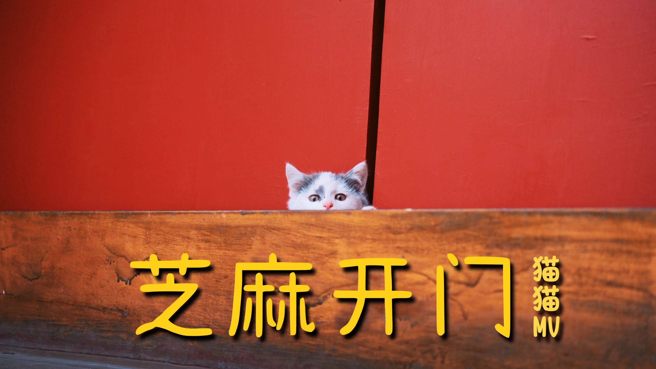 芝麻开门~小门神猫咪的神秘魔咒【猫猫MV】
