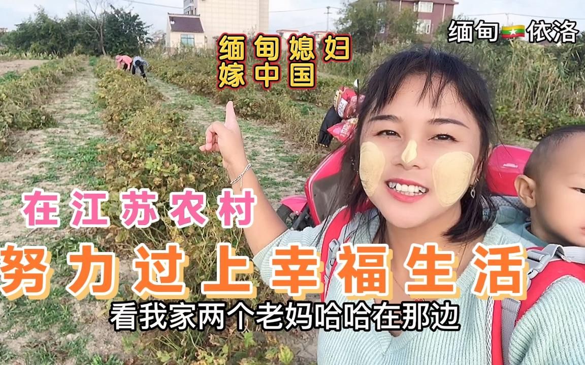 [图]缅甸媳妇努力扎根江苏农村，老家人都很羡慕我生活过得红红火火