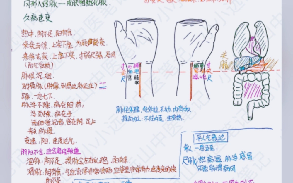 [图]倪海厦黄帝内经中医自学笔记分享倪师中医笔记分享纯手写笔记