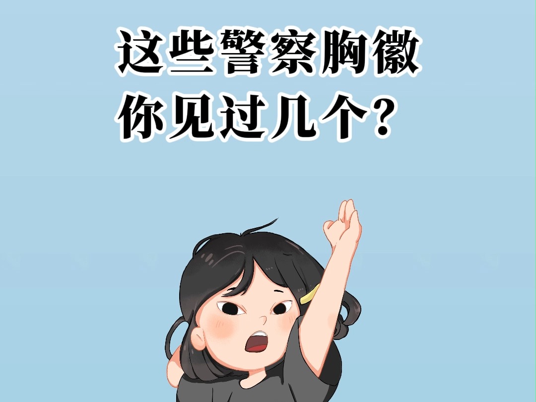 这些警察胸徽你见过几个?哔哩哔哩bilibili