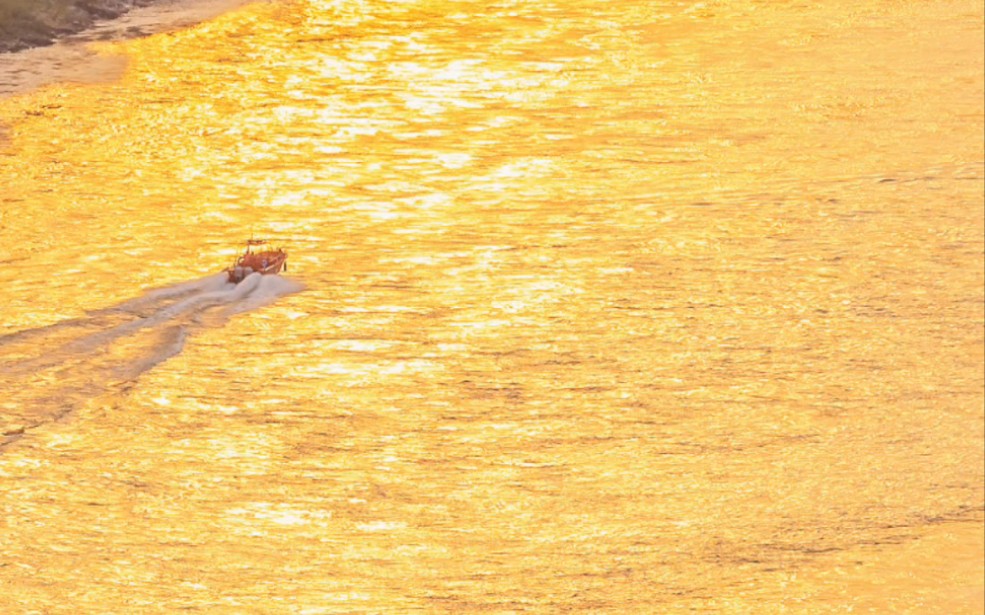 这么浪漫的金色海洋,一定要拍下来.