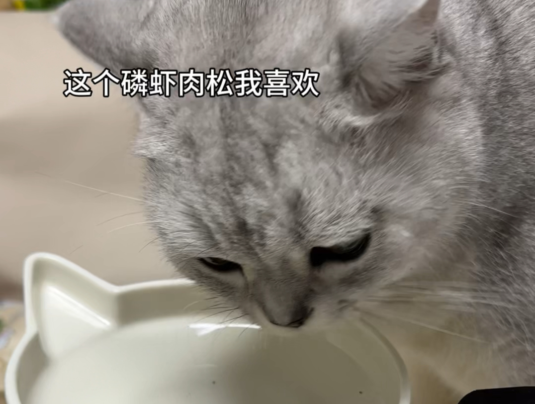 每次吃猫粮都剩一点,加点这个磷虾肉松一会儿就炫完了,还能让它们多吃饭多喝水~哔哩哔哩bilibili