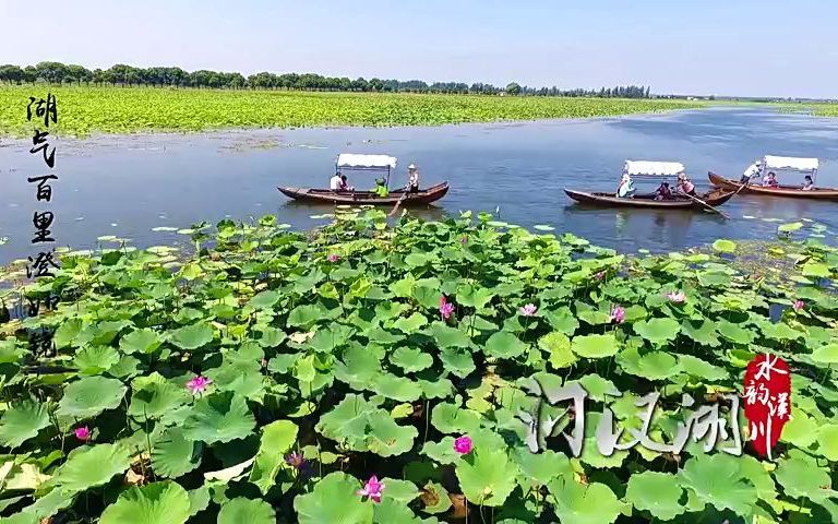 【旅游】水韵汉川,美丽汈汊湖风光!四季均不同.游览观光、休闲娱乐场所的好去处!哔哩哔哩bilibili