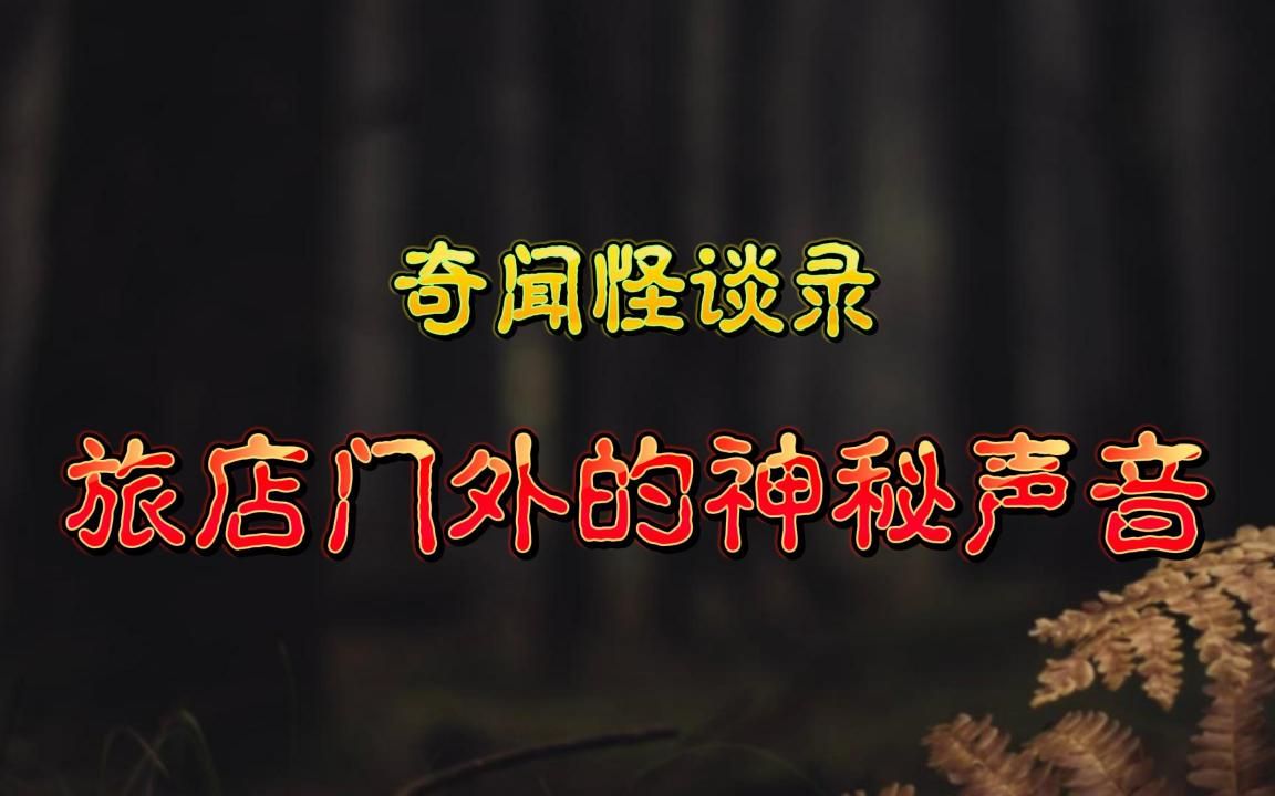 【奇闻怪谈录】旅店门外的神秘声音「 鬼怪故事 」「 恐怖故事 」「灵异故事」「民间故事」「奇闻异事」哔哩哔哩bilibili