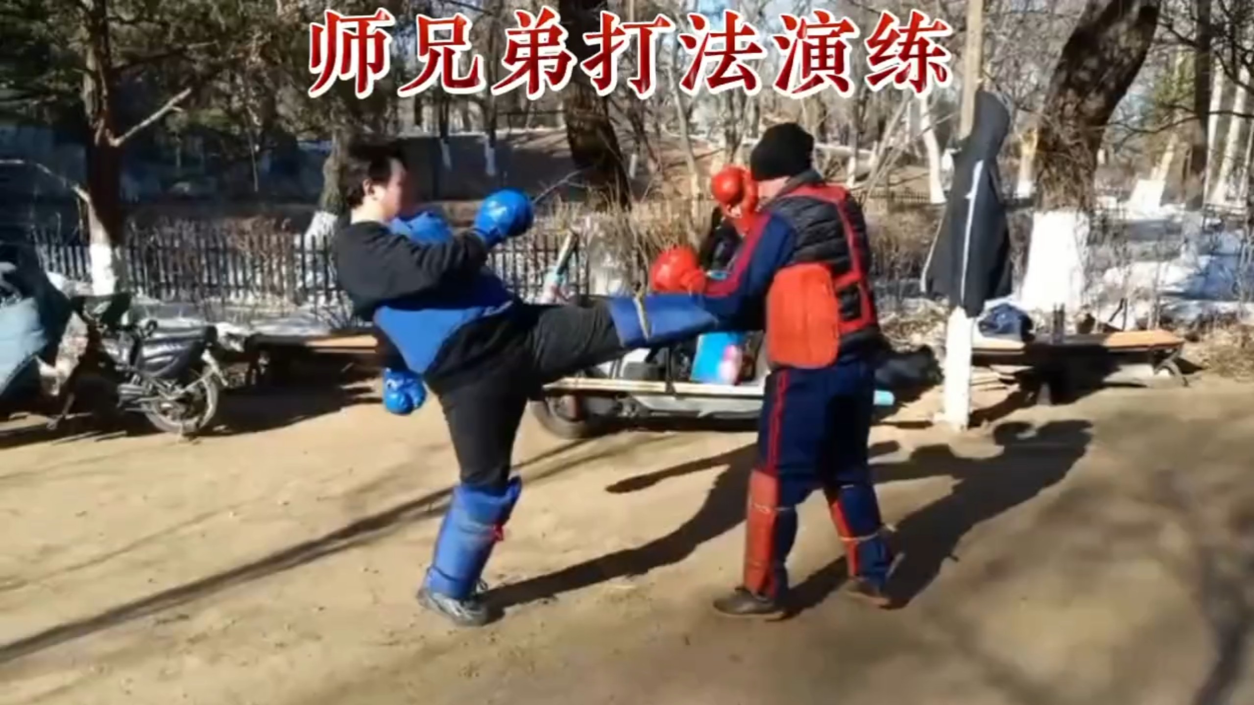 戳脚文趟子拳打法演练