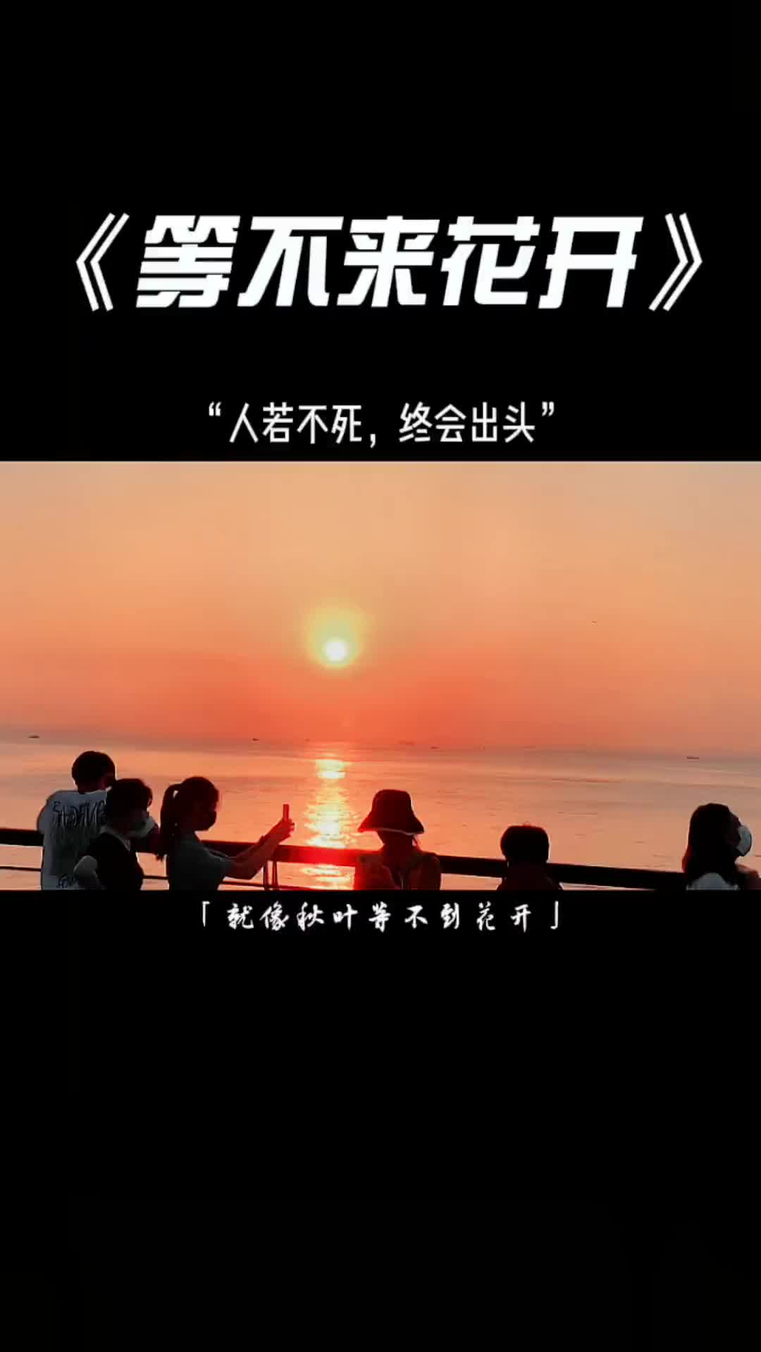 人若不死终会出头音乐音乐推荐宝藏音乐抖音小助手