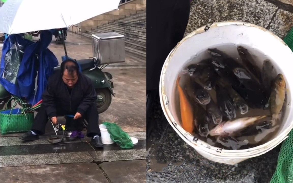 是個人才!男子從馬路排水孔中釣出一大桶魚,路人看見後不想離開