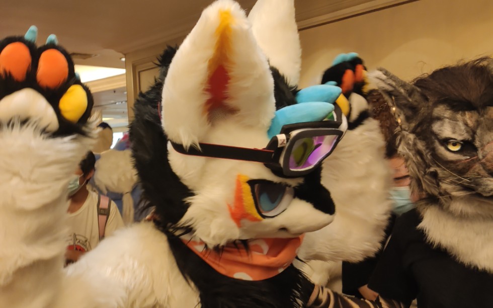 2021极兽聚真的"令人难忘"在下面评论出你喜欢的毛毛吧!