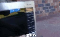 【老外真是丧心病狂!iPhone7直接扔微波炉!】【科技、数码】哔哩哔哩bilibili