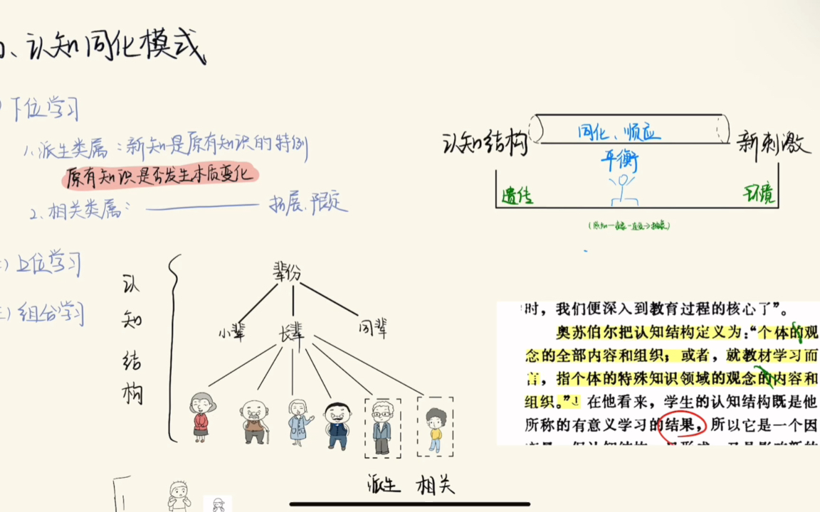 【思考】皮亚杰的认知结构与奥苏伯尔的认知结构有何异同?哔哩哔哩bilibili