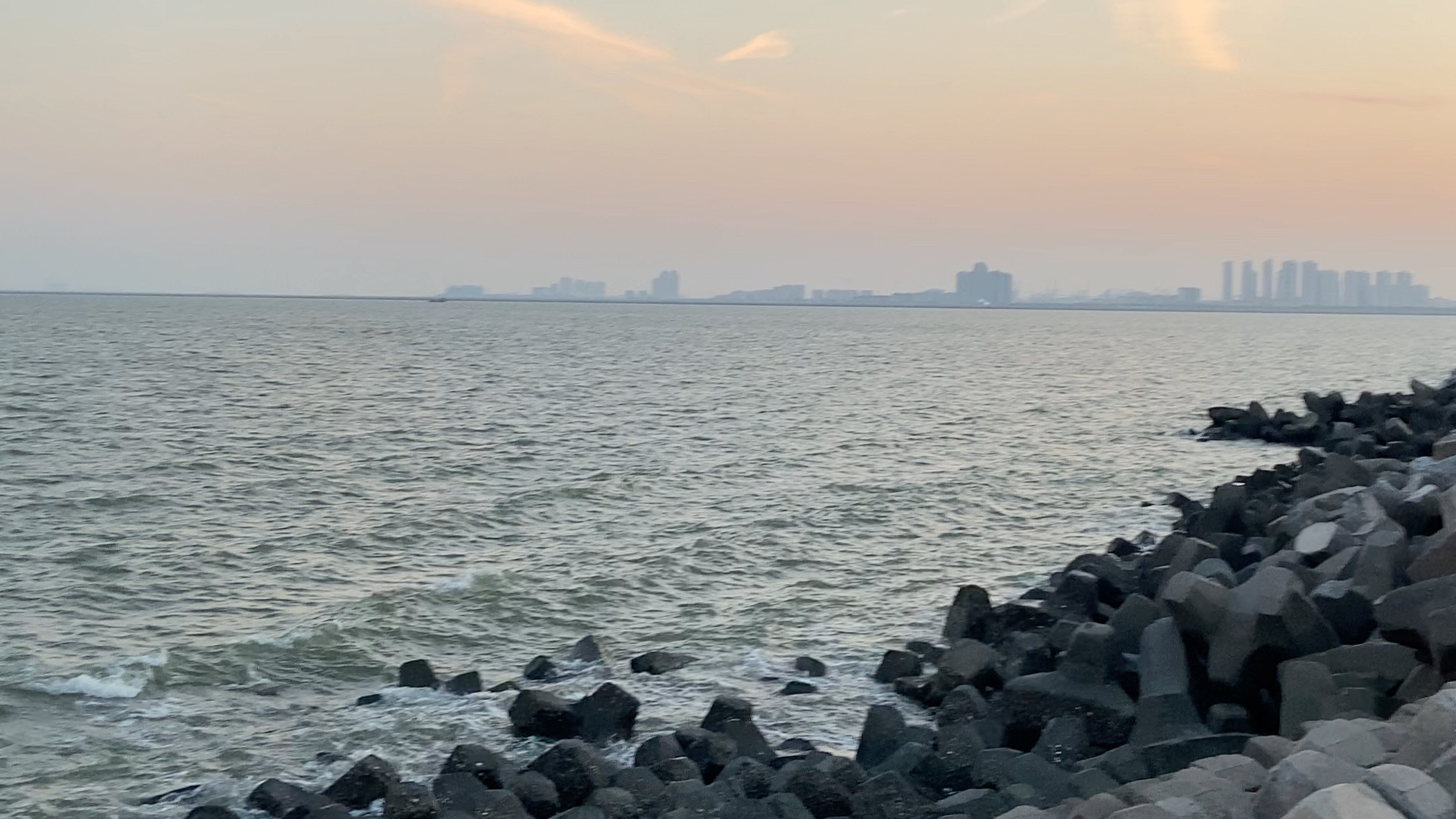 天津滨海新区东堤公园