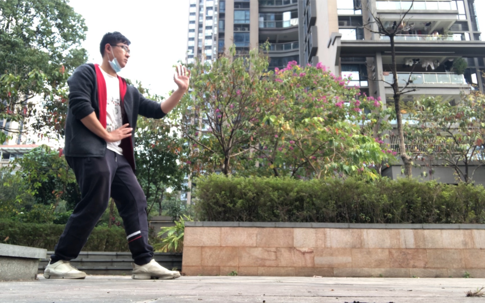 心意六合拳形意拳三体式劈拳崩拳熊形单把浑圆桩