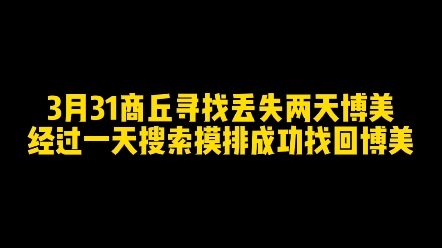 商丘找猫找狗团队成功找回丢失两天的博美,商丘找猫找狗收费多少?找到几率大吗?哔哩哔哩bilibili