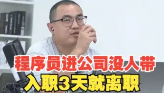 程序员进公司没人带，入职3天就离职！
