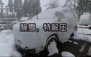 下载视频: 一晚上积雪40cm，早起给车除雪