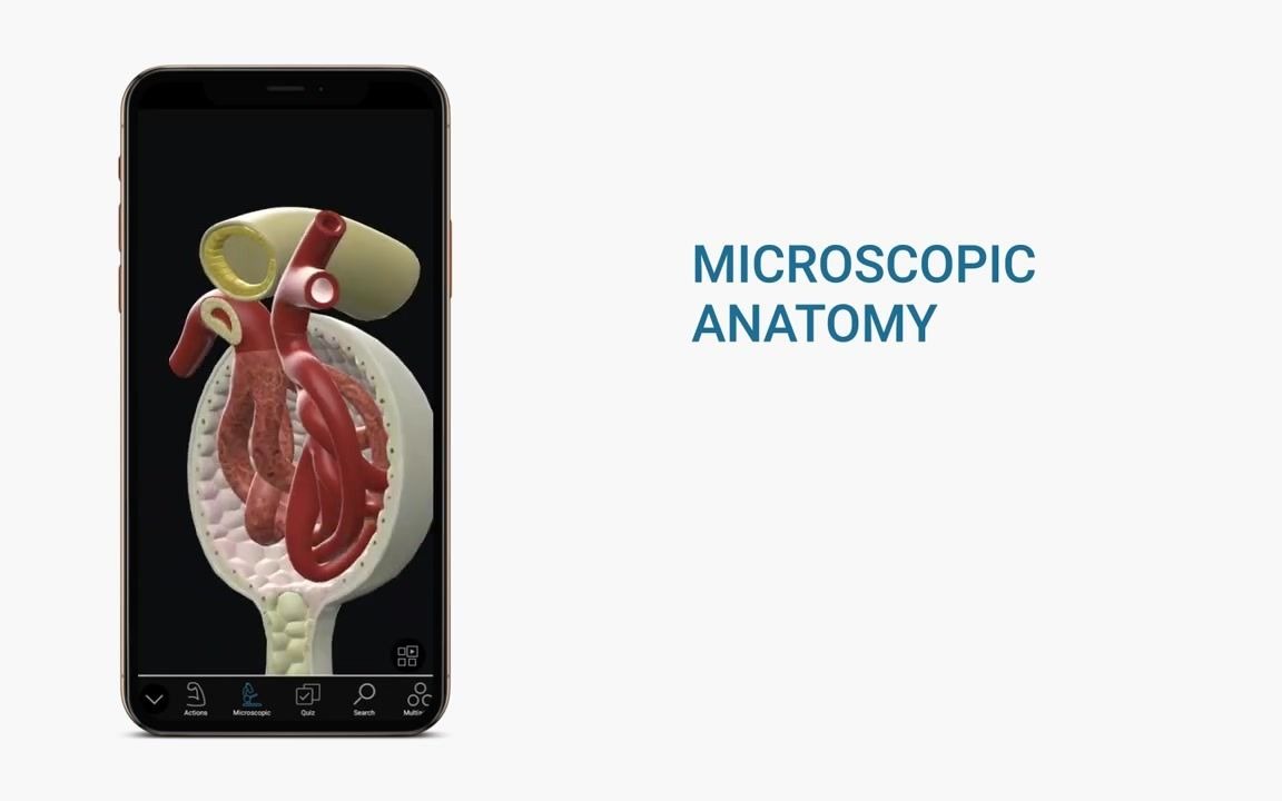 [图]3D Organon Anatomy Mobile Devices Edition