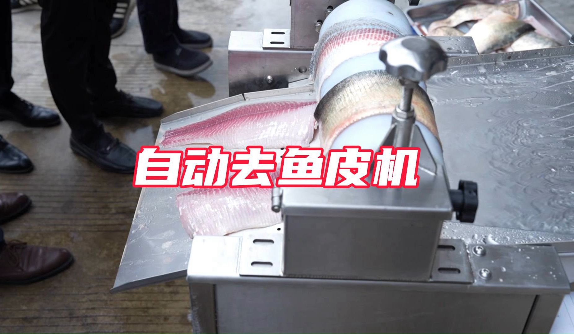自动去鱼皮机带压轴立式鱼肉去皮机