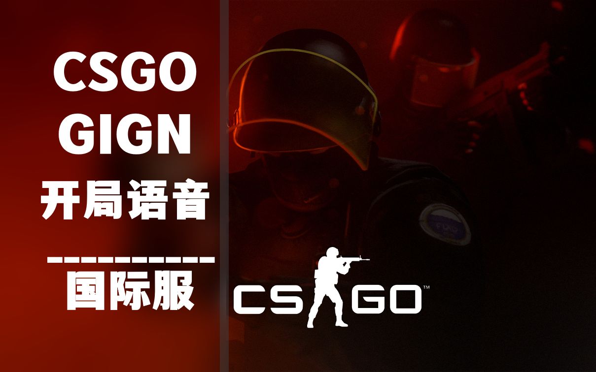 [CSGO/中英字幕] GIGN 国际服 开局语音
