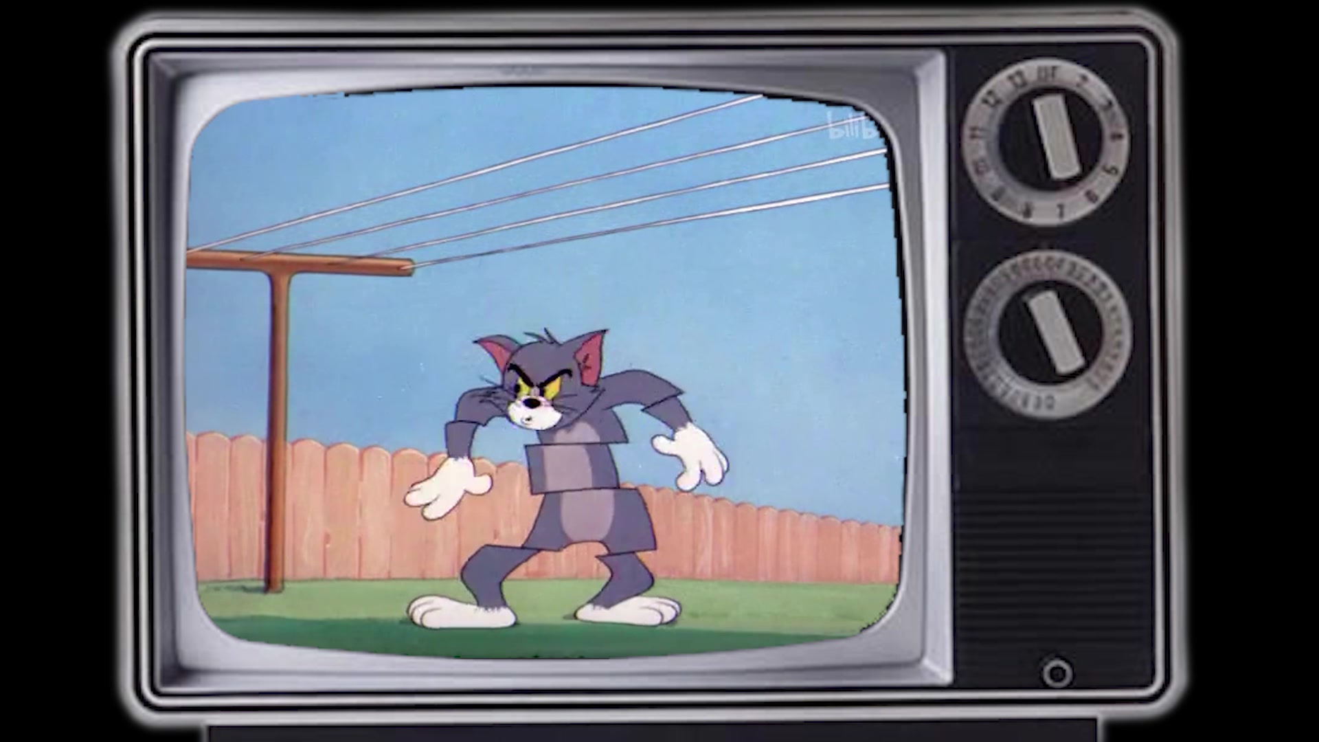 joy gruttmann - schnappi 一首笑的我岔气的神仙歌曲~~~_哔哩哔哩