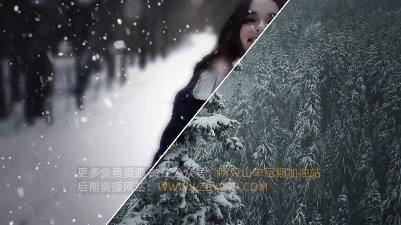 4k视频素材-100个寒冷冬日冬季暴风雪下雪飘舞特效动画 bbv23 snow