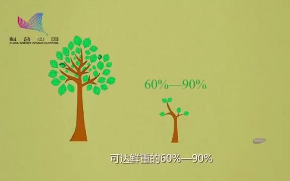 植物生长为什么需要水?为什么水对植物生长这么重要?万物生长靠太阳,雨露滋润禾苗壮, 植物在生长时阳光重要,水也很重要.对地球上的生命而言,...