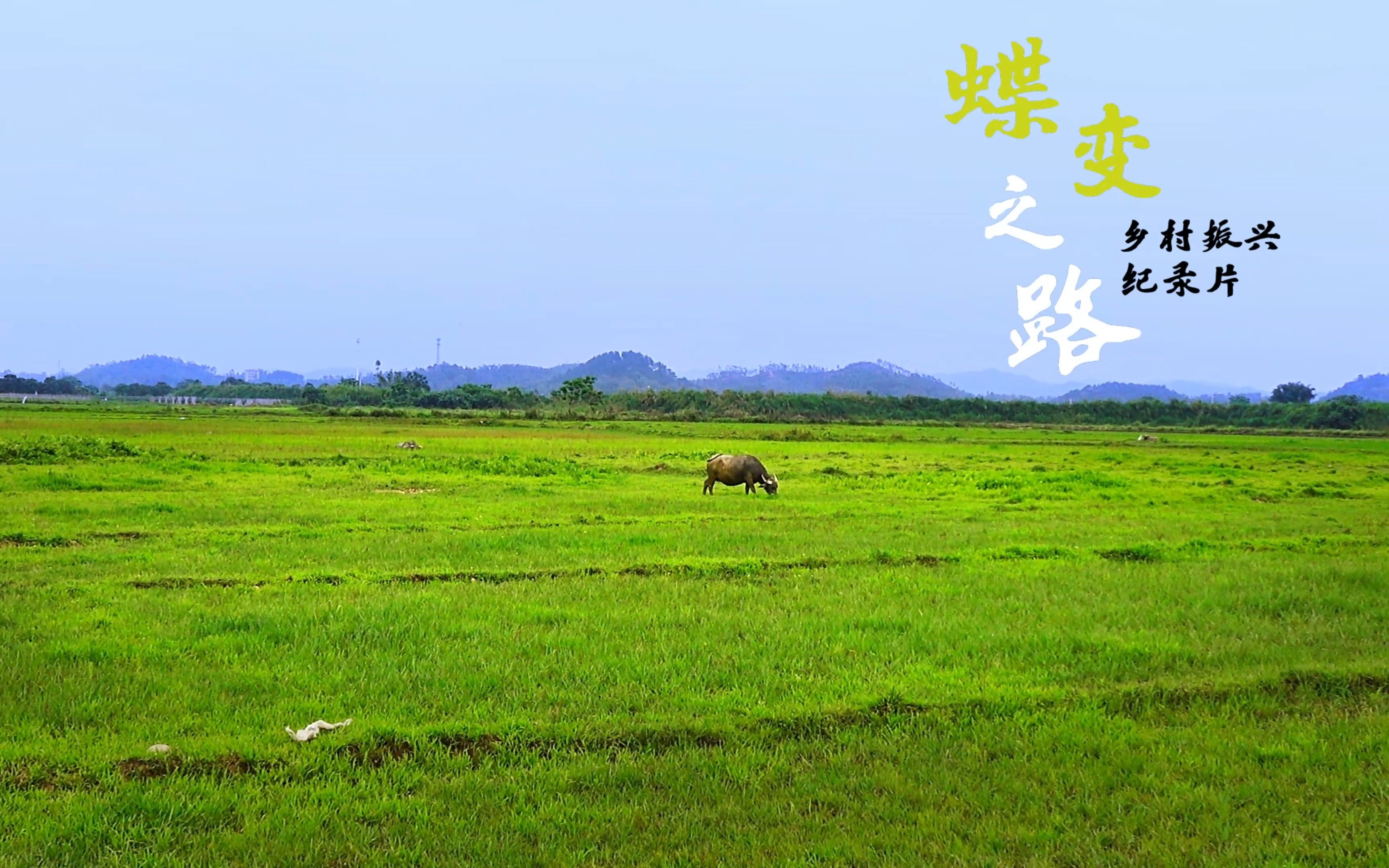 [图]《蝶变之梦》乡村振兴纪录片