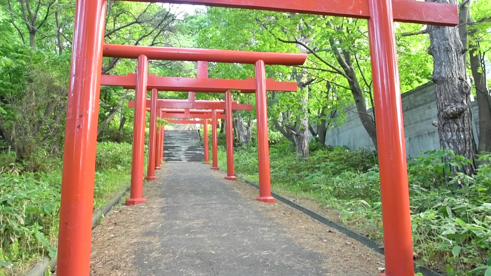 日本神社哔哩哔哩bilibili