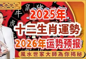 下载视频: 2025蛇年十二生肖運勢及2026年预测｜徐墨齋師傅