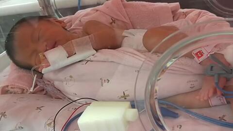 33周早产的二胎女儿在保温箱里展露微笑 这微笑看得我心都醉了 哔哩哔哩