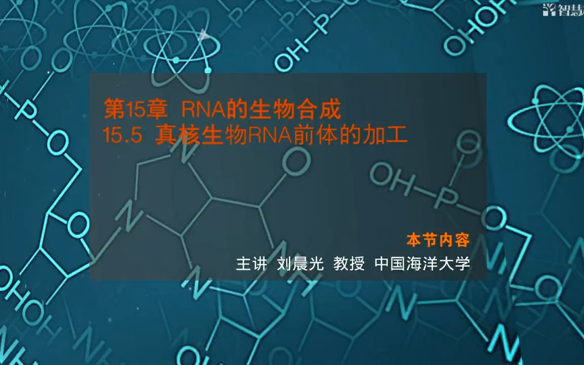 【中国海洋大学 生物化学】15.5真核生物RNA前体的加工哔哩哔哩bilibili