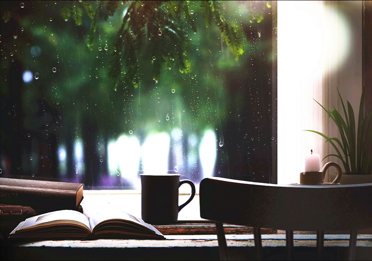 下雨天7415最适合看书学习阅读98 | 你也喜欢雨天吗?
