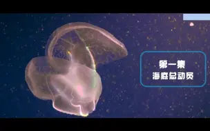 Download Video: 小学小四门启蒙之中国地理课第一集海底总动员