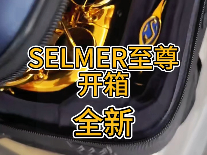 法国赛尔玛“至尊”全新萨克斯开箱正品!支持官网验证 #selmer至尊 #赛尔玛至尊 #塞尔玛至尊 #SELMER #专业级萨克斯哔哩哔哩bilibili