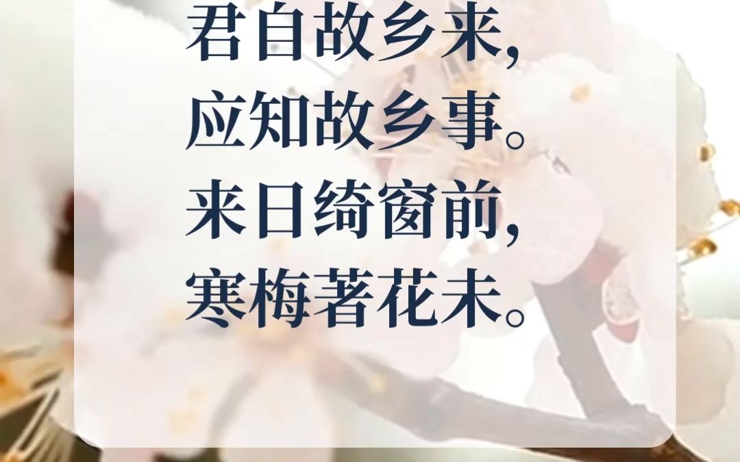 《杂诗》唐诗三百首哔哩哔哩bilibili