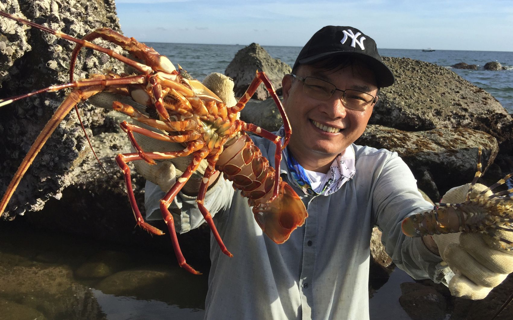 闲牛赶海走大运了,在水坑里面发现本地大龙虾,说要几百块一斤