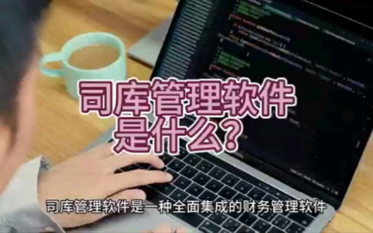 邑泊软件咨询:司库管理软件是什么?哔哩哔哩bilibili